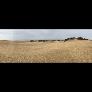 Meet your Posher, Alan